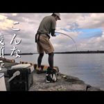 水深5mにも満たない湾奥の堤防で信じられない大物が… 【屋久島遠征2023 #1】