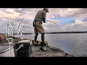 水深5mにも満たない湾奥の堤防で信じられない大物が… 【屋久島遠征2023 #1】