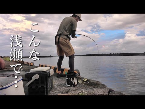水深5mにも満たない湾奥の堤防で信じられない大物が… 【屋久島遠征2023 #1】