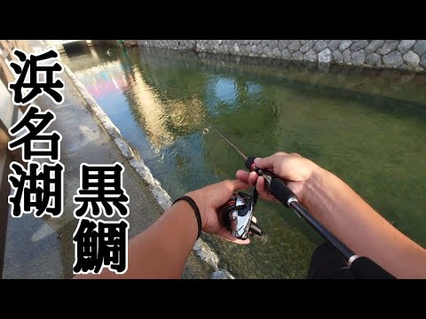 【浜名湖釣り】🎣観光地の極狭水路で黒鯛を狙ってみた!