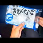 真夏のこの釣りがおもしろい。