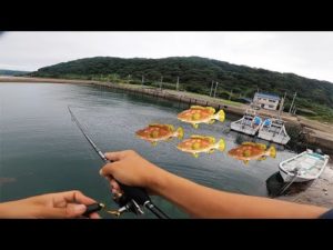 めっちゃ釣れるけど謎の声がした…