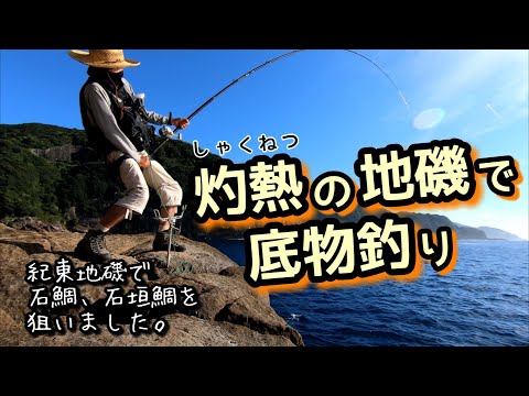 三重県 熊野の地磯で石鯛釣りをしました。危険な暑さです。視聴者の方が来られて声を掛けて頂きました。😉👍🎶  #fishing #石鯛釣り #石鯛釣り最新 #石鯛 #磯釣り #地磯 #石鯛遠投 @石鯛
