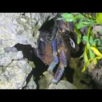 いろいろな事がありすぎた、、【沖縄釣り】