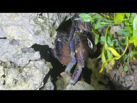 いろいろな事がありすぎた、、【沖縄釣り】