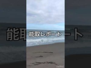 鮭ぶっ込み釣り、今年の網走は大変です。