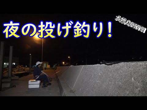 暑い夏は夜釣りが快適！投げて待って大物HIT!!