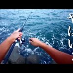台風後の海へ釣りに行ってみると…