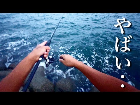 台風後の海へ釣りに行ってみると…