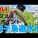 【茨城バス釣りポイント】簡単に釣れる母子島遊水池でバス釣り！デカイのいる！【バス釣りオススメポイント】