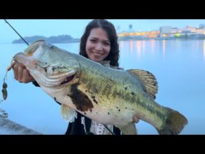 神回きましたぁぁぁぁぁぁ！！！！！！！！