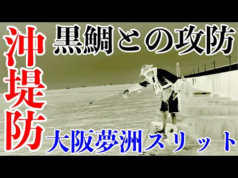【ヘチ釣り】激アツの大阪湾沖堤防夢洲スリットでチヌと攻防！