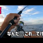 沼で釣りしてたら巨大な魚が...&朝マズメTOPゲーム