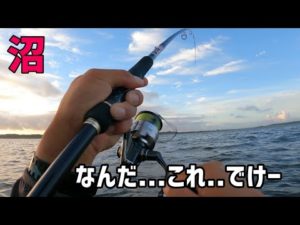 沼で釣りしてたら巨大な魚が...&朝マズメTOPゲーム