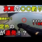 【神奈川県某所】真夏の〇〇釣りで想定外の魚が連発！？お盆休み期間中に、関東地方にある相模湾側に面している釣り場で、とある魚の調査釣行を数日間してみたら…！【2023年8月中旬】