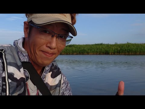 毒男釣りライブ SUPでハゼ釣ろうぜw