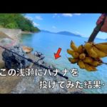 この笑撃の釣りエサで、衝撃的に美味しい魚を釣り上げたので見てほしい。