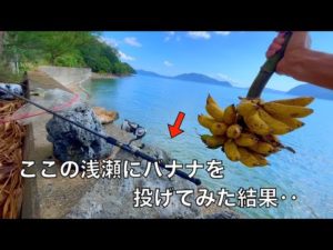 この笑撃の釣りエサで、衝撃的に美味しい魚を釣り上げたので見てほしい。