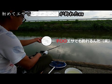 【鵠戸川】で癒しを求めて野釣りに来たら・・・