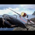 【秘境】日本記録級の特大クエが潜む南方の離島で24時間大物釣り生活