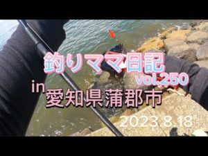 釣りママ日記vol.250愛知県蒲郡市