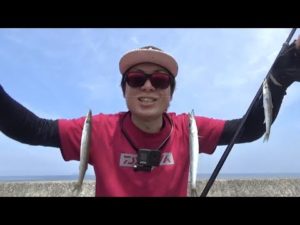 【火電波止】人気波止で釣りしてみたらカマのぼりが出来たｗ