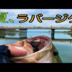 【瀬田川バス釣り】ラバージグのポテンシャルが爆発した日