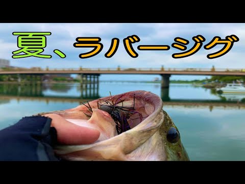 【瀬田川バス釣り】ラバージグのポテンシャルが爆発した日