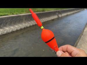 ウキ釣りなのにルアー釣り！？