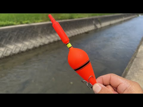 ウキ釣りなのにルアー釣り！？