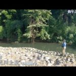 町田市 鶴見川上流で小物釣り。キラキラ光る魚の正体は？