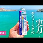 ダイソージグを本気で使った釣果が凄い