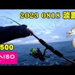 【淡路島】ダイソータックル(ロッド・リール)でタチウオ釣りをしてみた結果…