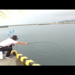 茨城の港が魚だらけだったので五目釣りをしたら楽しすぎた！