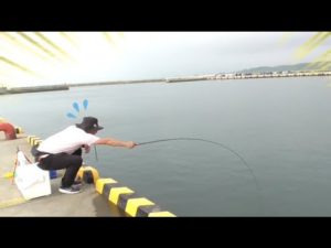 茨城の港が魚だらけだったので五目釣りをしたら楽しすぎた！