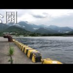 ファミリーが集まる公園から歩いて3分の堤防に大物が潜んでいた… 【屋久島遠征2023 #4】