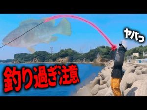 【釣り】根魚を100%釣る方法を教えます。《※乱獲注意》