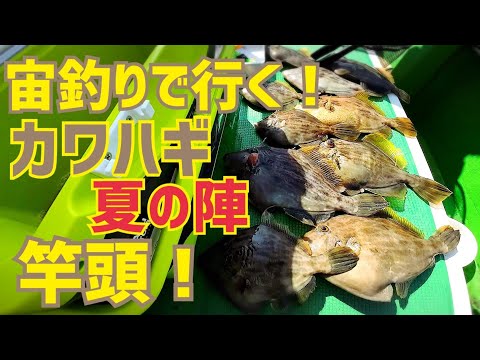 【カワハギ釣り】夏は宙釣りで良型狙い！東京湾・久里浜沖｜2023.8.19
