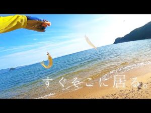 【キス釣り】おまえらそんな所に居たのか。最高に楽しめた1日。