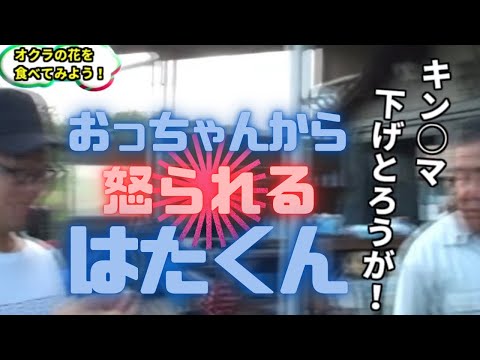 【釣りよか】おっちゃんから罵声を浴びせられるはたくん
