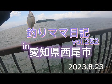 釣りママ日記vol.252愛知県西尾市