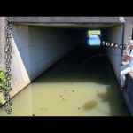 いかにも釣れそうな用水路のトンネルで釣りをしてみると、最後に奇跡が起きた！