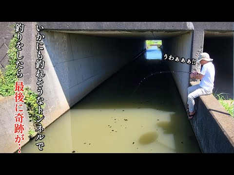 いかにも釣れそうな用水路のトンネルで釣りをしてみると、最後に奇跡が起きた！