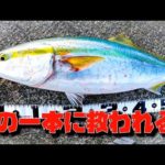 【青物】渋い状況で魚が釣れたしゃくり方【ショアジギング】