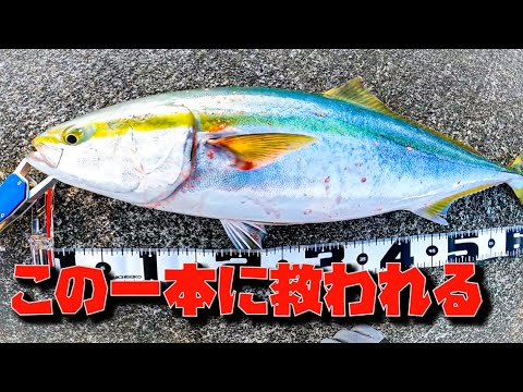 【青物】渋い状況で魚が釣れたしゃくり方【ショアジギング】