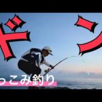 【ぶっこみ釣り】初挑戦‼️夜の伊豆釣り、スーパーのイワシをぶっこんでみた‼️