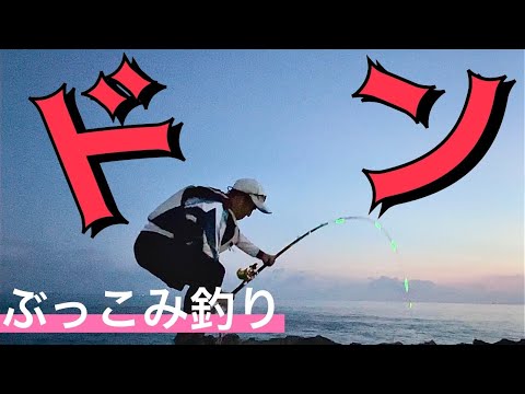 【ぶっこみ釣り】初挑戦‼️夜の伊豆釣り、スーパーのイワシをぶっこんでみた‼️