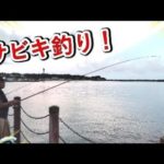 小名浜港で今サビキ釣りが熱い！