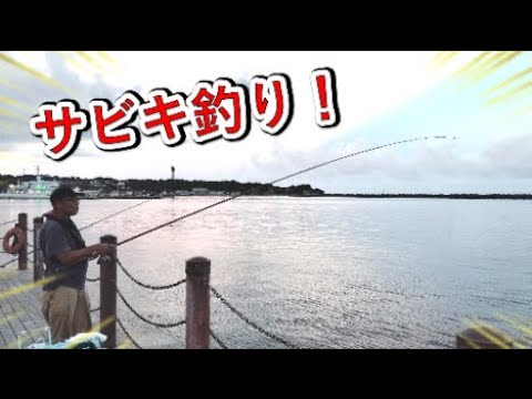 小名浜港で今サビキ釣りが熱い！