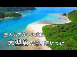 大物だらけの無人島に、妻と2人で釣りキャンプに行った結果‥